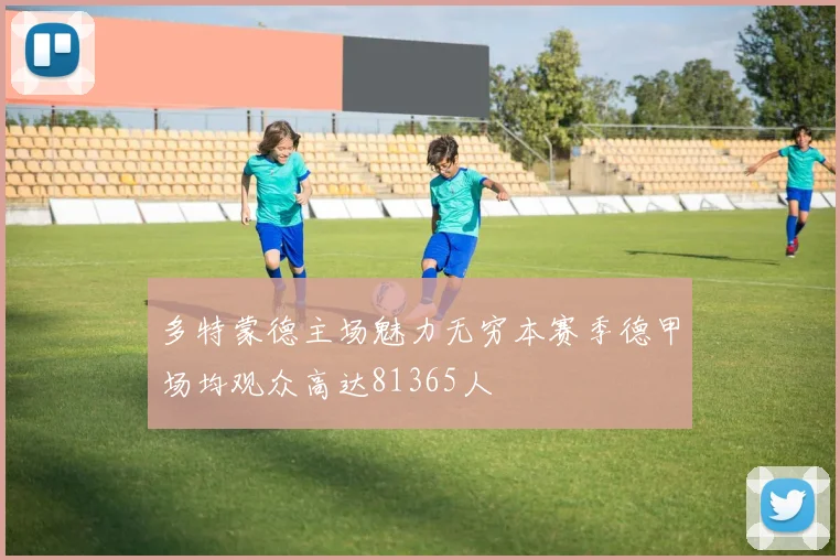 多特蒙德主场魅力无穷本赛季德甲场均观众高达81365人