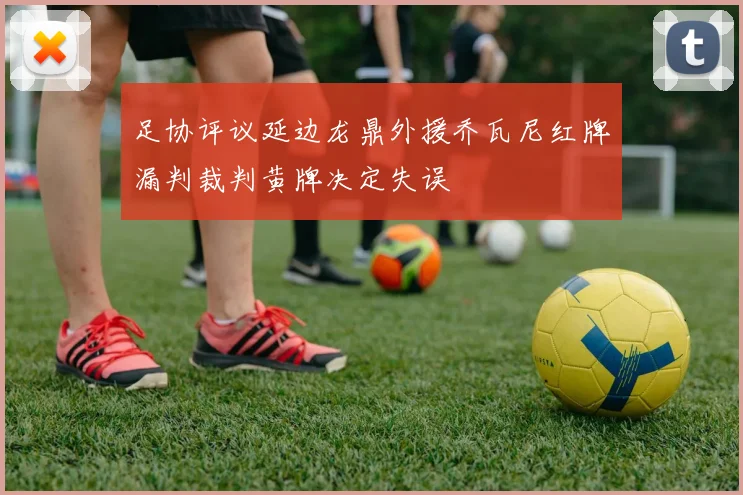 足协评议延边龙鼎外援乔瓦尼红牌漏判裁判黄牌决定失误