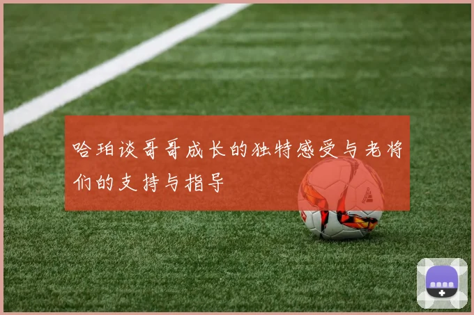 哈珀谈哥哥成长的独特感受与老将们的支持与指导